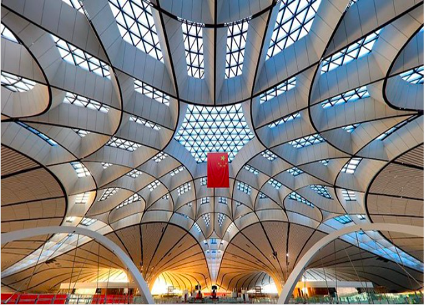 我與祖國(guó)共奮進！